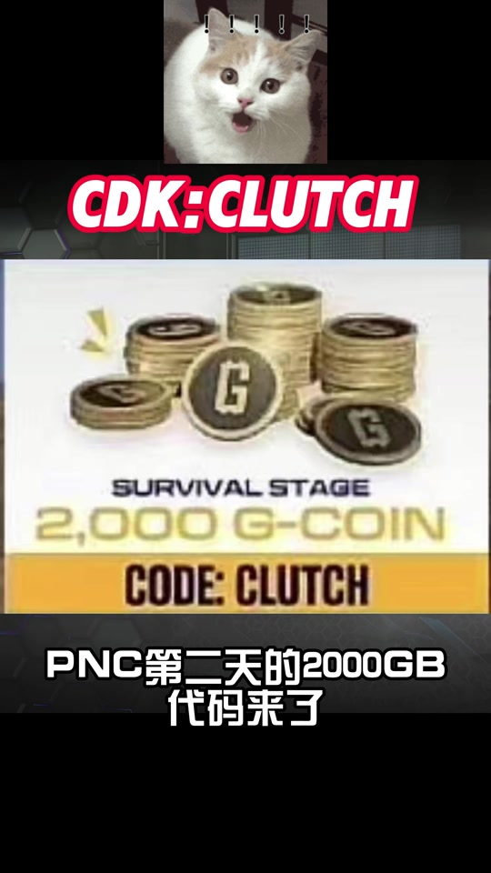 2025PNC专业公司给的夺冠赔率(全球十大半导体公司排名)